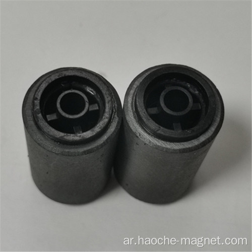 DC Motor Rotor Ferrite 8-Pole Magnet